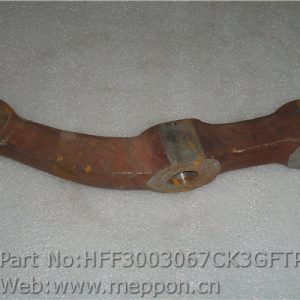 HFF3003067CK3GFTP