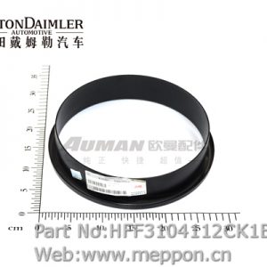 HFF3104112CK1E