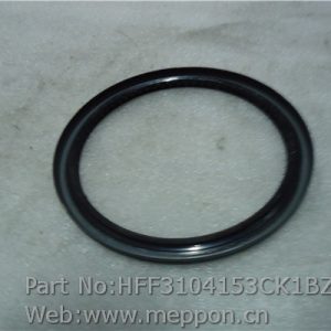 HFF3104153CK1BZ