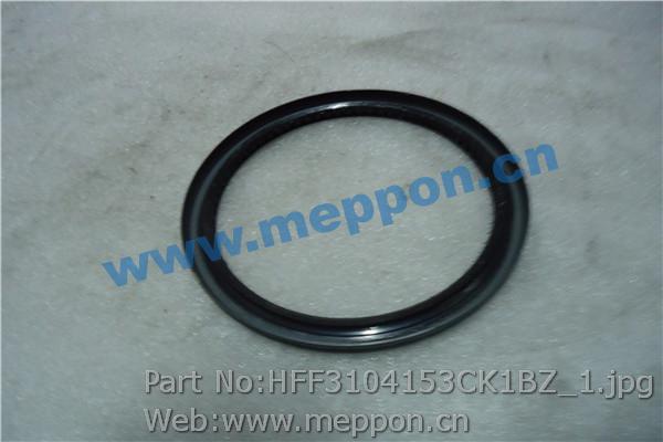 HFF3104153CK1BZ