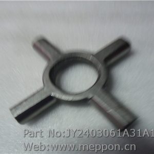 JY2403061A31A1