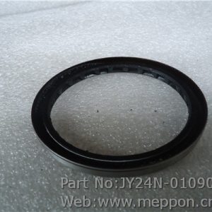 JY24N-01090