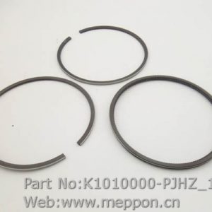 K1010000-PJHZ