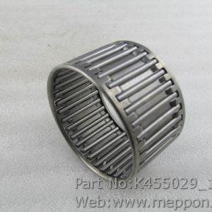 K455029