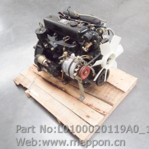 L0100020119A0