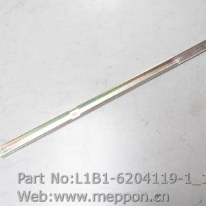 L1B1-6204119-1