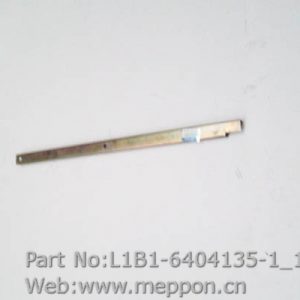 L1B1-6404135-1