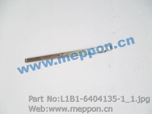 L1B1-6404135-1