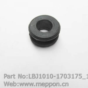 LBJ1010-1703175