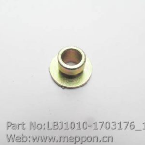 LBJ1010-1703176