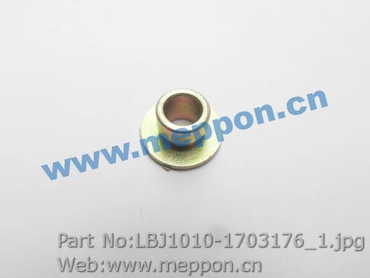 LBJ1010-1703176