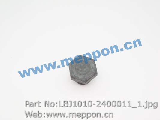 LBJ1010-2400011
