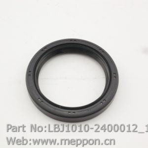 LBJ1010-2400012