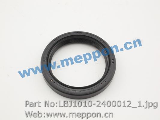 LBJ1010-2400012