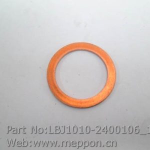 LBJ1010-2400106