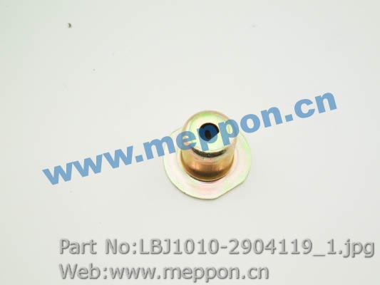 LBJ1010-2904119