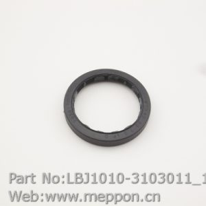 LBJ1010-3103011