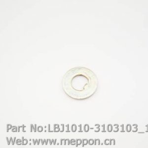 LBJ1010-3103103