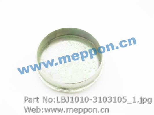 LBJ1010-3103105