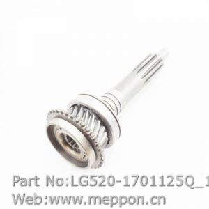 LG520-1701125Q