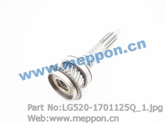 LG520-1701125Q