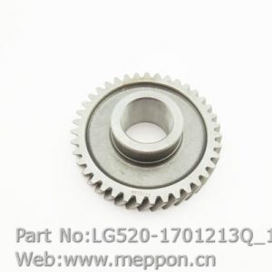 LG520-1701213Q
