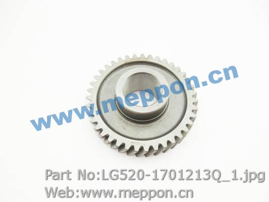 LG520-1701213Q