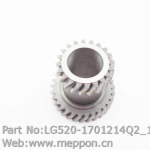 LG520-1701214Q2