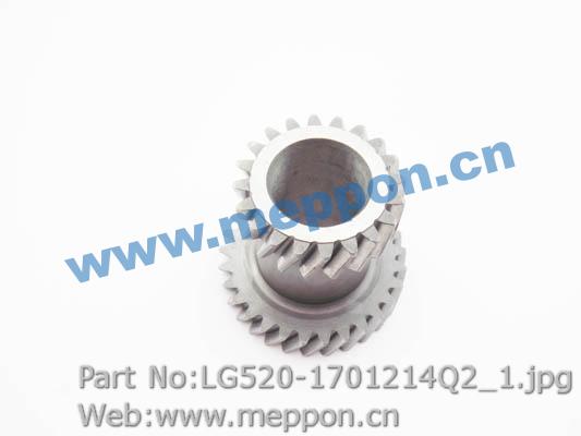 LG520-1701214Q2