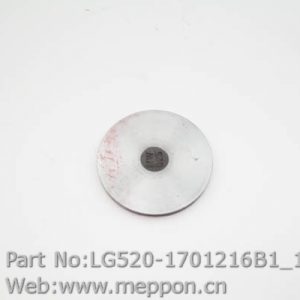 LG520-1701216B1