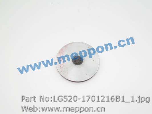 LG520-1701216B1