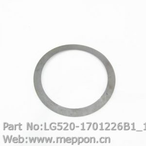 LG520-1701226B1