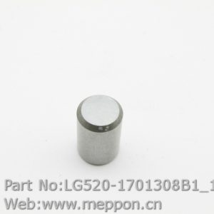 LG520-1701308B1