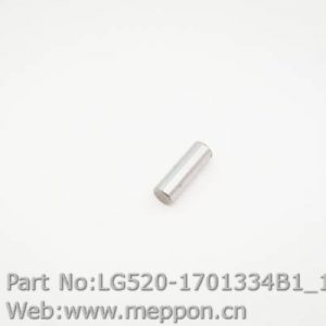 LG520-1701334B1