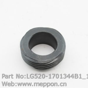LG520-1701344B1