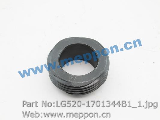 LG520-1701344B1