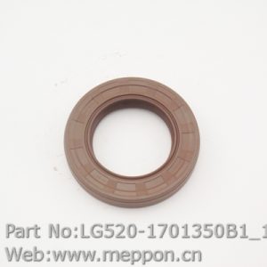 LG520-1701350B1