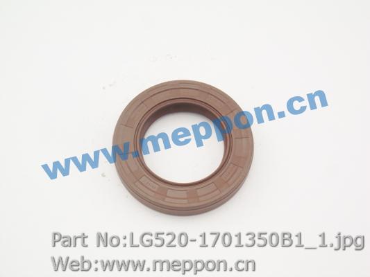 LG520-1701350B1