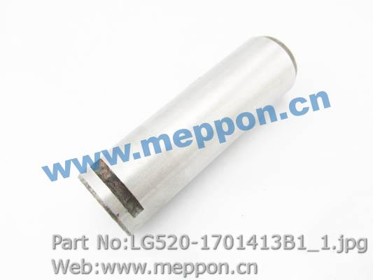 LG520-1701413B1
