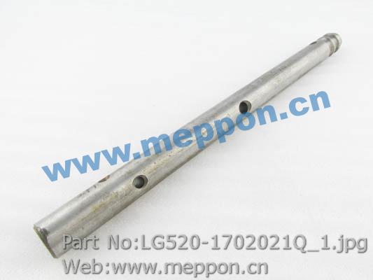 LG520-1702021Q