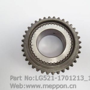 LG521-1701213