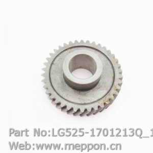 LG525-1701213Q