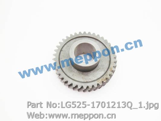 LG525-1701213Q