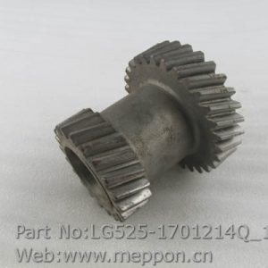 LG525-1701214Q