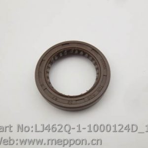 LJ462Q-1-1000124D