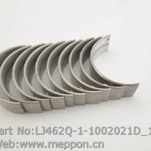LJ462Q-1-1002021D