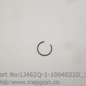 LJ462Q-1-1004022D