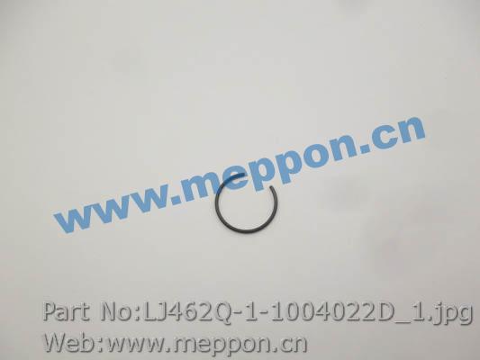 LJ462Q-1-1004022D