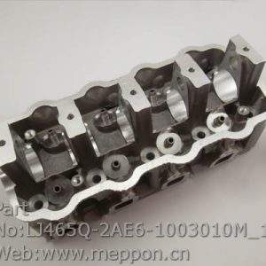 LJ465Q-2AE6-1003010M