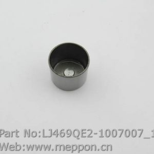 LJ469QE2-1007007